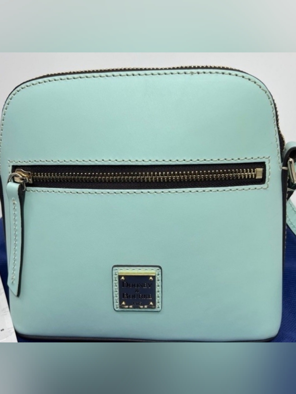 Dooney & Bourke Sorrento Zip Domed Crossbody Pale Mint Shade Like New